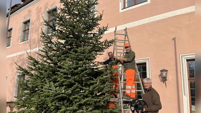 Mitarbeiter des Bauhofs stellten den rund sieben Meter hohen Baum auf dem Balkon des Landratsamtes auf und behängten ihn mit einer Lichterkette. Von links: Andreas Hirsch, Thomas Scharl und Markus Schwab.<br> (Bild: Christine Hollederer)