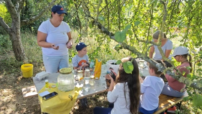 v.l.n.r. Tanja Deinzer, lauter fleißige Bienchen und Dorothea Wankel.  (Bild: Michael Deinzer )