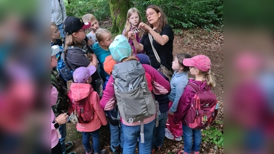Eine spannende Erlebniswanderung durch den „Eulenwald” erlebten Kinder im Steinwald (Bild: Johannes Bradtka)