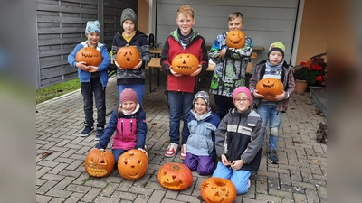 Schaurig-Schöne Kürbisse leuchten an Halloween (Bild: Claudia Landgraf)