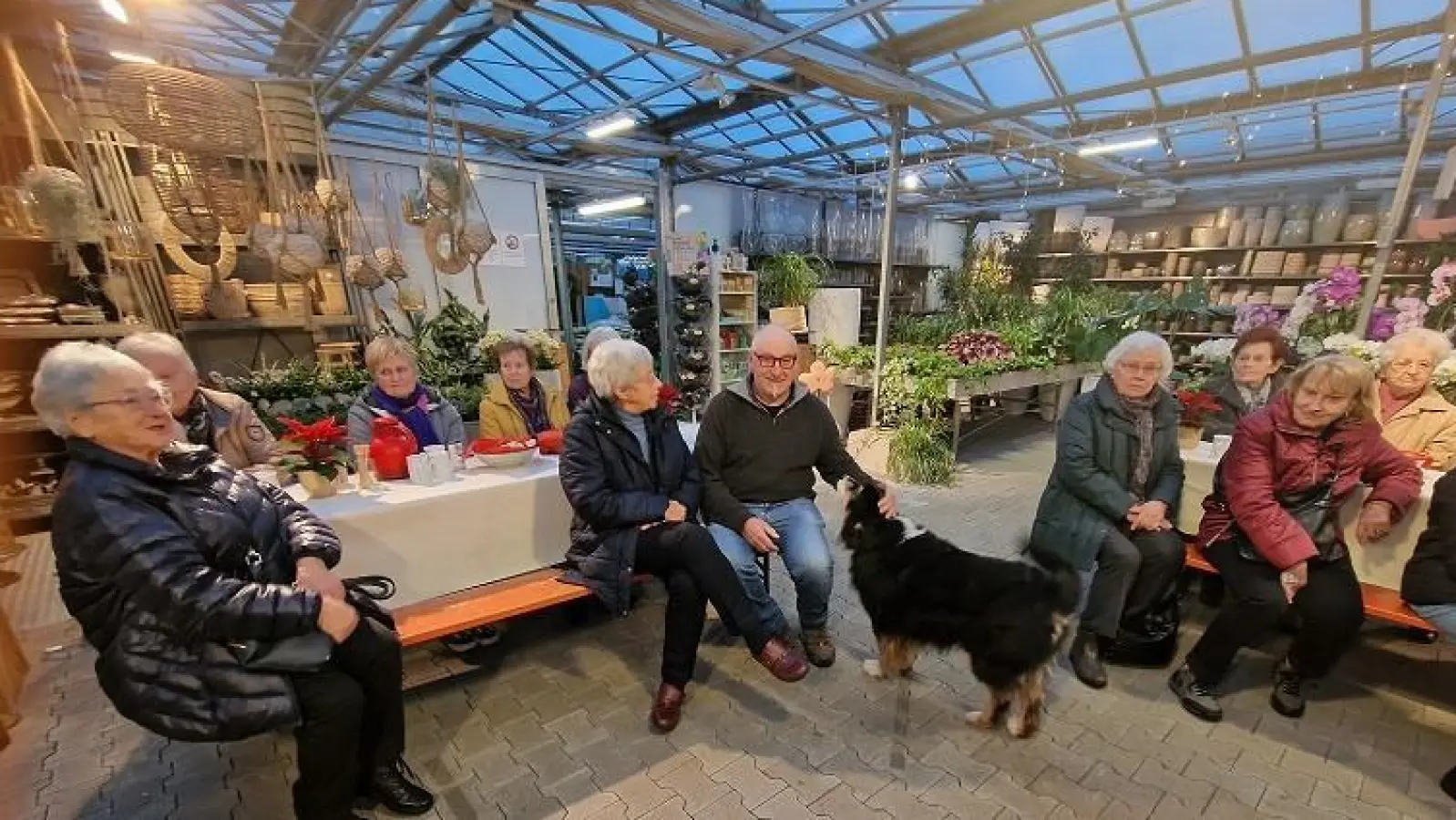 „Aktuelle Stunde” in der Weihnachtsgärtnerei. (Bild: Anita Berek)