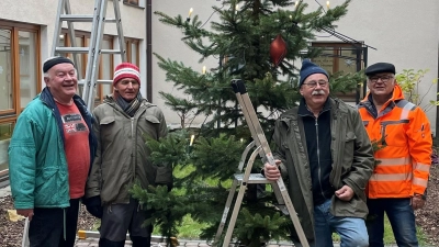 Fleißige Helfer des Oberpfälzer Waldvereins und des Obst- und Gartenbauvereins schmücken die Christbäume im St. Johannis-Stift. (Bild: Kornelia Nickl)