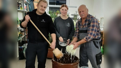 Josef Helgert (rechts) geht mit Enkelin Julia und deren Freund Christian ans Werk. (Bild: pi)