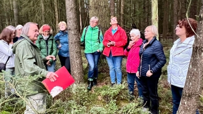 Unter Leitung von Harald Hertel (links) erhielten Interessierte der Gruppe Vita im Frauenbund Waldsassen Einblicke in das Ökosystem von Mooren. (Bild: Maria Wurm)