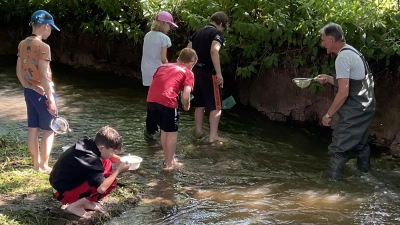 Begeistert machten die Grundschüler aus Sulzbach-Rosenberg beim Grünen Klassenzimmer des Fischereivereins Amberg an den Bühler Weihern mit und suchten zum Beispiel nach Kleinstlebewesen im Wasser.  (Bild: oe)