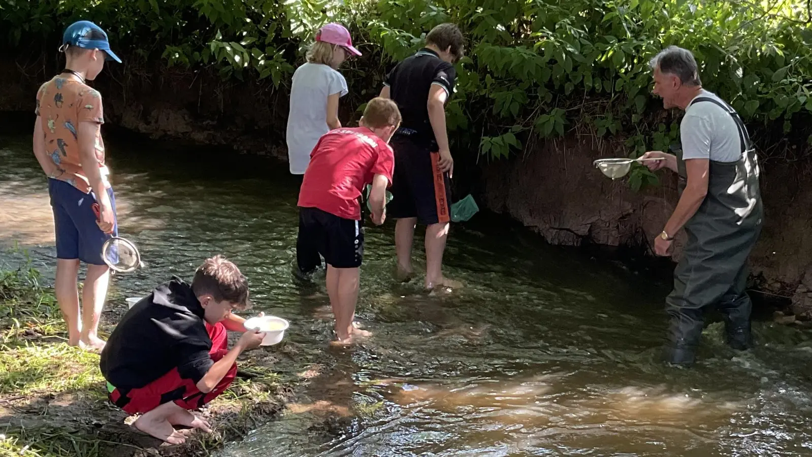 Begeistert machten die Grundschüler aus Sulzbach-Rosenberg beim Grünen Klassenzimmer des Fischereivereins Amberg an den Bühler Weihern mit und suchten zum Beispiel nach Kleinstlebewesen im Wasser.  (Bild: oe)