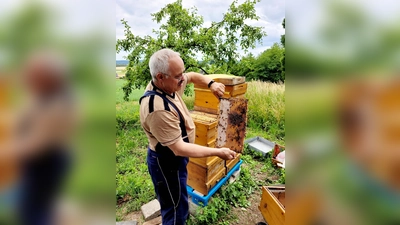 Die Imker zeigen alle Arbeitsschritte um an die süße Köstlichkeit zu gelangen (Bild: Lena Dvorak)