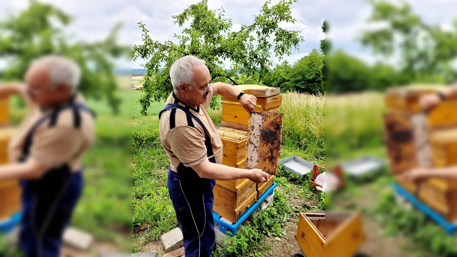 Die Imker zeigen alle Arbeitsschritte um an die süße Köstlichkeit zu gelangen (Bild: Lena Dvorak)