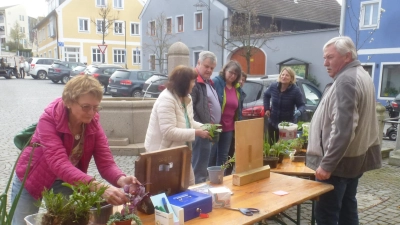 Groß war das Angebot an Pflanzen bei der Tauschbörse.  (Bild: Adolf Mandl)