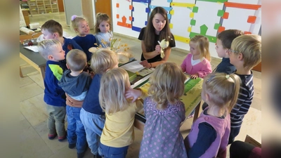 Die Kindergartenkinder des Kinderhauses Kunterbunt lauschen gespannt, was Christina Trenner vom Imkerverein Tirschenreuth und Umgebung über die Honigbiene erzählt. (Bild: Christina Sladky)