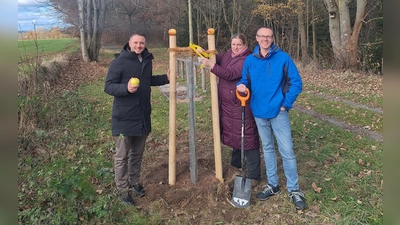 Der Apfelbaum des OGV wurde an die Gemeinde übergeben. Es gab auch gleich Kostproben eines anderen Santana Apfelbaum  (Bild: Benjamin Hahn)