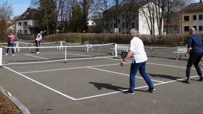 Pickleball heißt die neue Trendsportart, die Elemente von Tennis, Tischtennis und Badminton vereinigt. Gabi Hüttl, Peter Frauendorfer, Regina Frauendorfer und Jürgen Setzer (von links) probierten sie aus. (Bild: Elfriede Weiß)