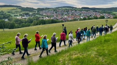Die Teilnehmer des Bittgangs auf dem Rückweg vom Johannisberg zum Dorf.  (Bild: Ina Piehler)