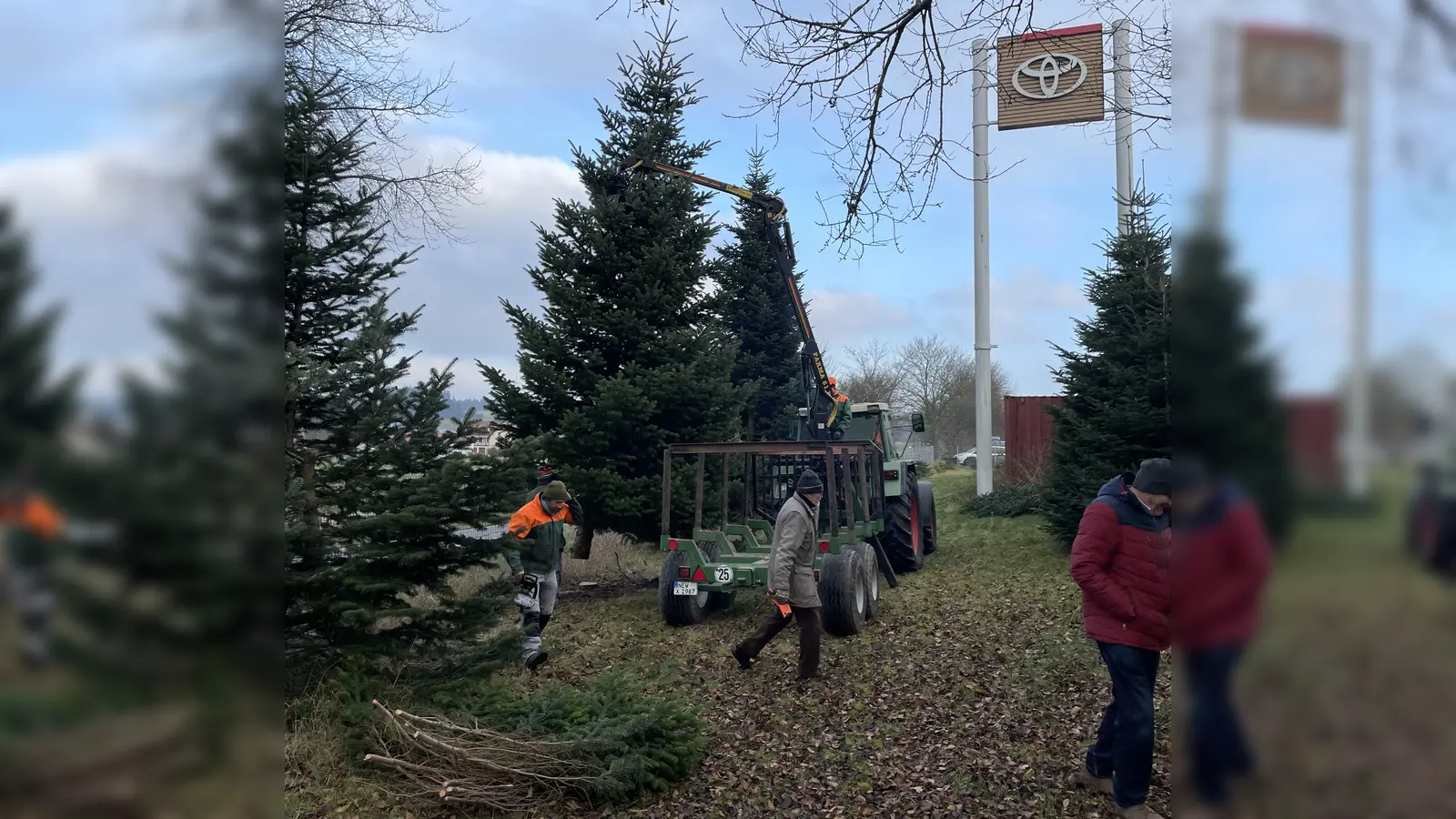 Abholden des Christbaum auf der Wiese von Thomas Kreinhöfner (Bild: Brigitte Kreinhöfner)