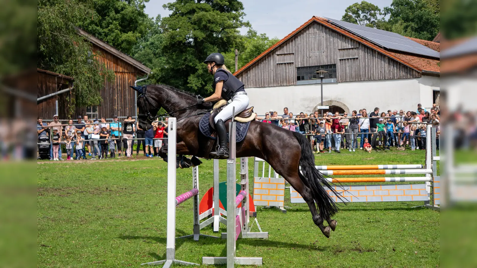 Anna Vollath auf Ihrer Stute Tiffy. (Bild: Corinna Mark)