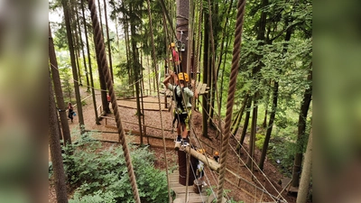 In luftigen Höhen des Parcours  (Bild: Michael Meiler)