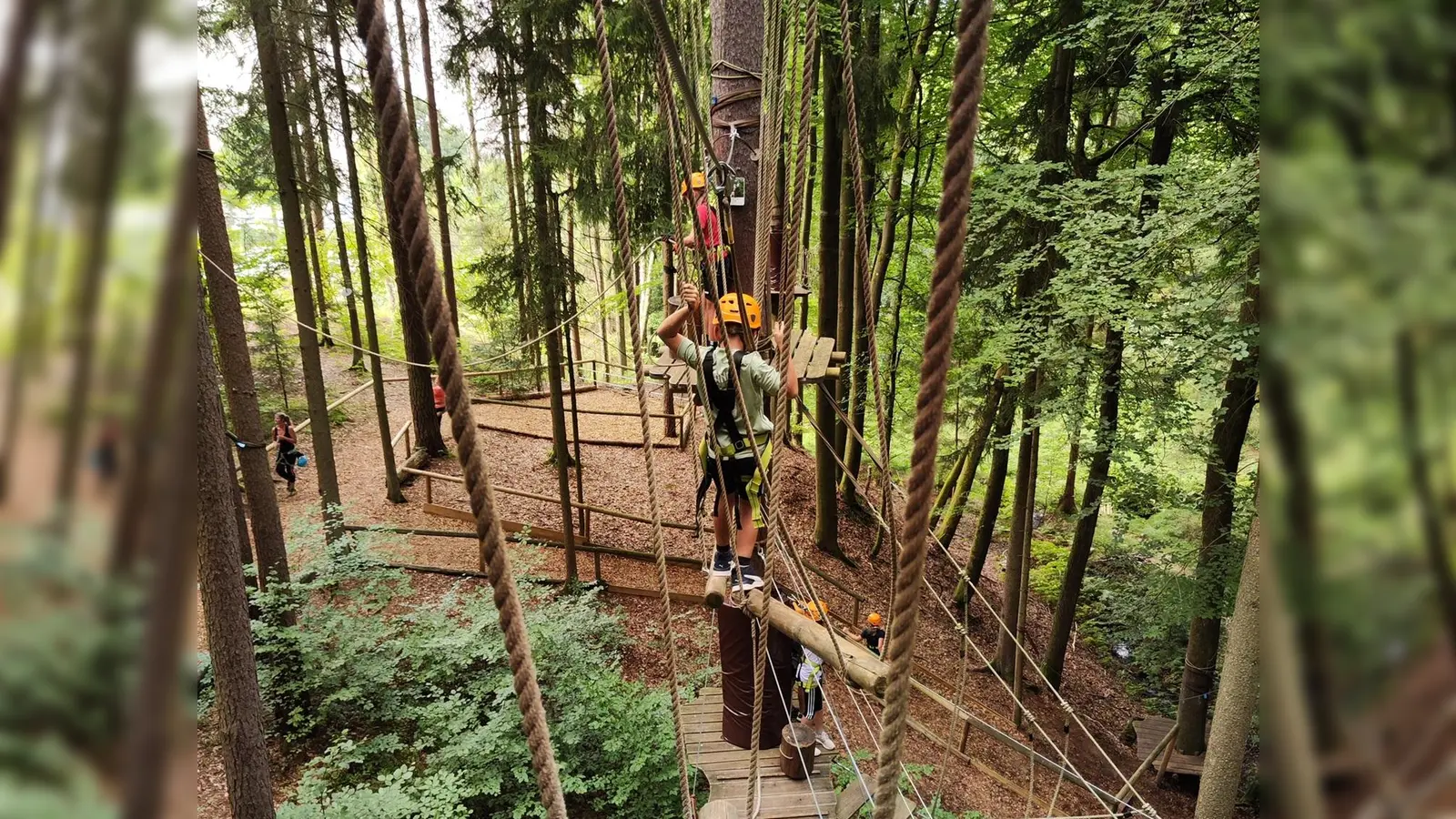 In luftigen Höhen des Parcours  (Bild: Michael Meiler)