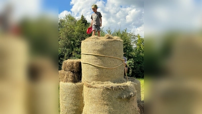 Als Dschungelkönig den Berg erklommen (bjo) (Bild: bjo)