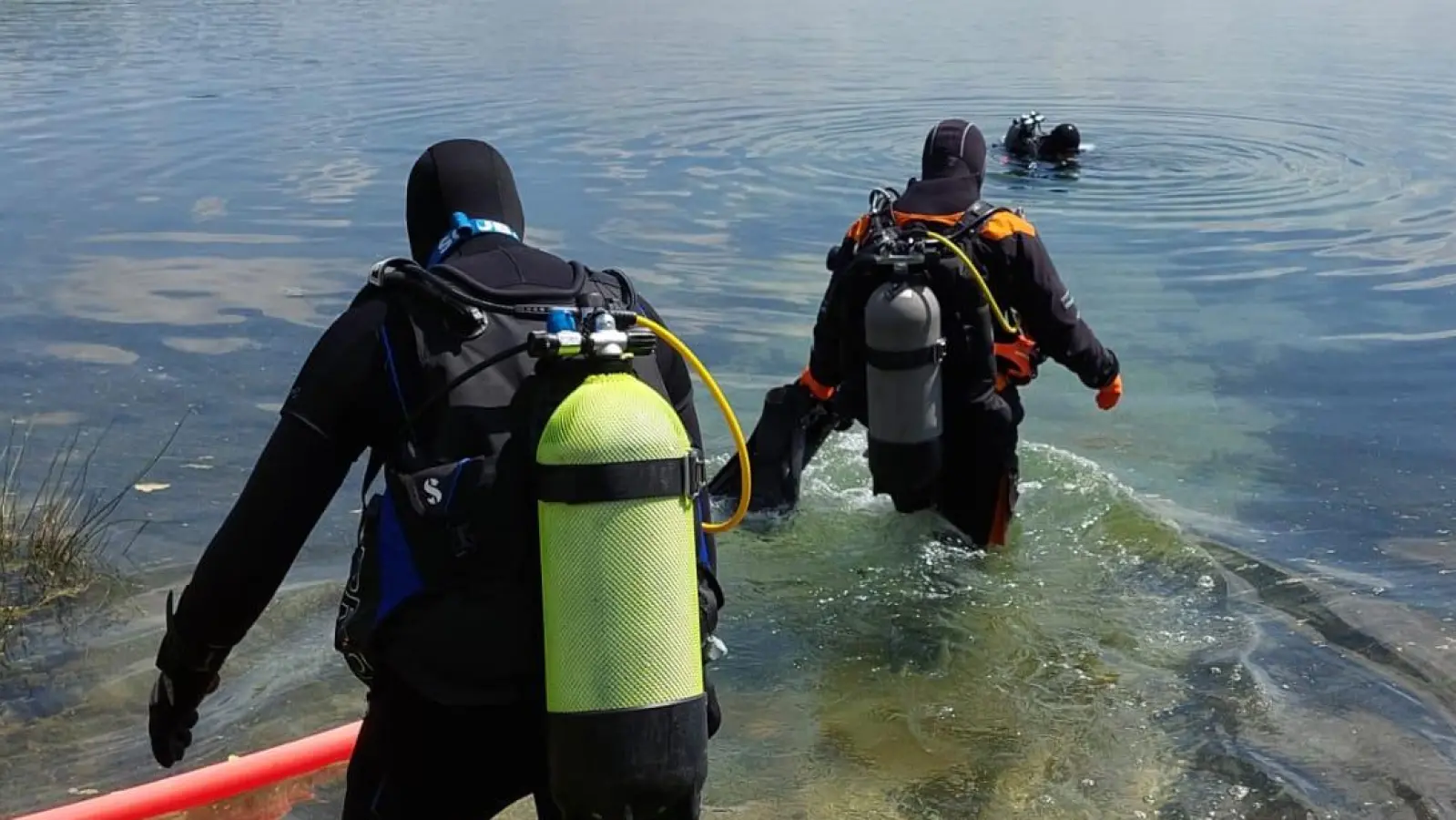 Die aktiven Taucher beim Einstieg in den Murner See. (Bild: Thomas Neufeld/exb)